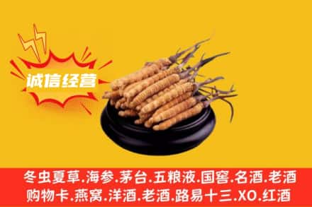 连云港东海县回收冬虫夏草